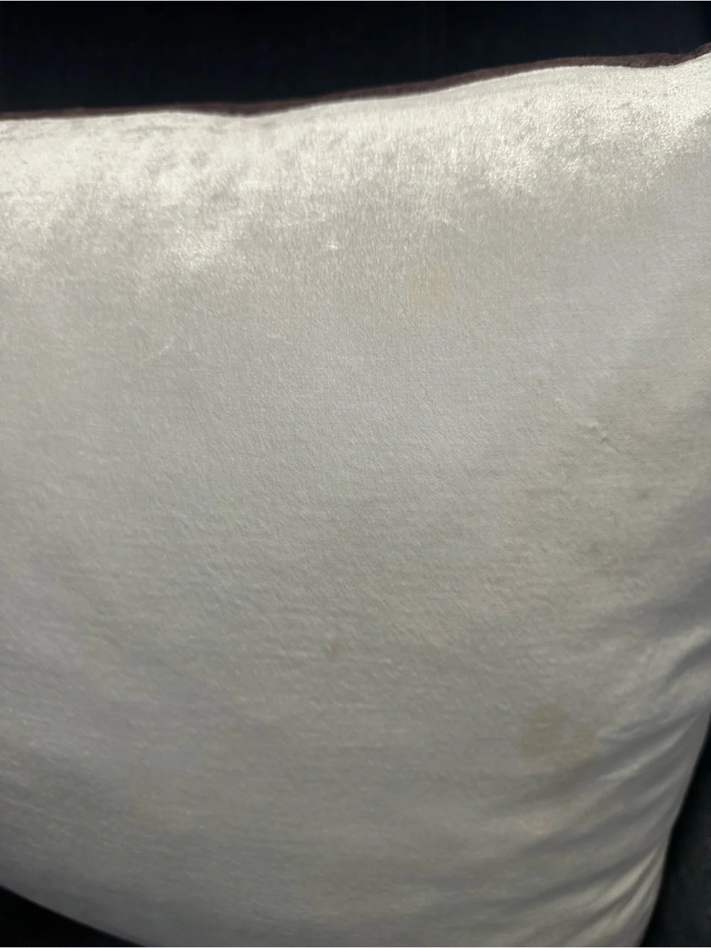 Z Gallerie Joie De Vivre Pillow 22